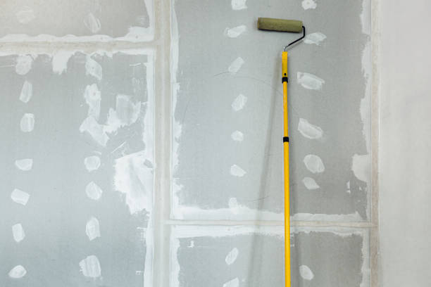 Best Environmental Consulting for Mold Prevention  in Head Of The Harbor, NY